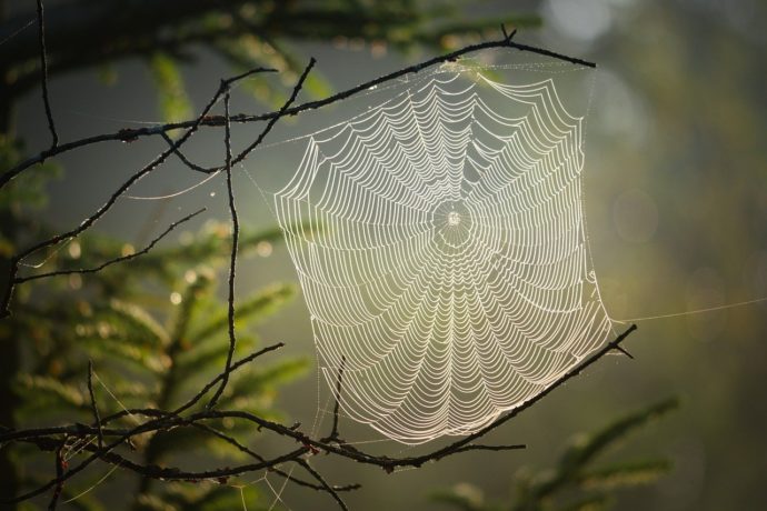 Znaleźć rozwiązanie! Pasja i wynalazki Jana Szczepanika